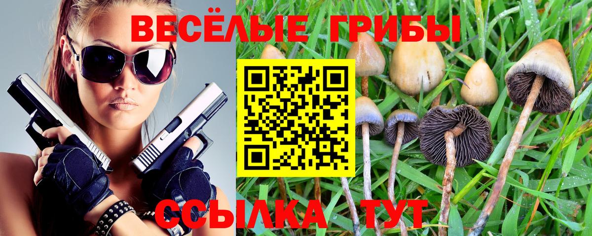 что такое   Галлюциногенные грибы мухоморы  Вход с VPN  Псилоцибиновые грибы ЛСД  Кольчугино 